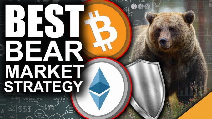 BEST Bear Market Crash Strategy for 2021 (How to Protect Your Crypto)