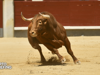 Crypto Bull Market "Definitely Not Over": 3AC's Su Zhu