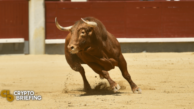 Crypto Bull Market "Definitely Not Over": 3AC's Su Zhu