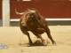 Crypto Bull Market "Definitely Not Over": 3AC's Su Zhu