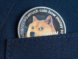 Dogecoin's Downward Slide: 2 Month Stats Show Meme-Based Crypto Is Down 76%