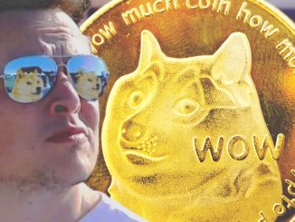 Elon Musk Reaffirms Support for Dogecoin, Changes Profile Picture — DOGE Trading Volumes Jumped 1,250% in Q2