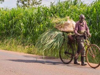 Kenyan Farmers Pivot to Cryptocurrency as Popularity of Community Currencies Grows