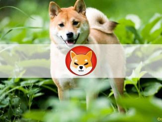 Shiba Inu’s Newly Launched ShibaSwap DEX Explodes With $1.5B TVL in Less Than 2 Days