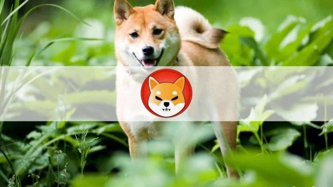 Shiba Inu’s Newly Launched ShibaSwap DEX Explodes With $1.5B TVL in Less Than 2 Days
