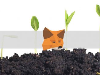 MetaMask Celebrates 10 Million Monthly Active Users: 1800% Yearly Growth