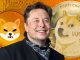 Elon Musk Discusses Important Dogecoin Improvements, Confirms He's Not Investing in Shiba Inu