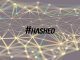 Hashed Rolls out Startup Studio to Explore Metaverse and NFT Space