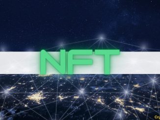 Less Than 17% Addresses Control Over 80% of NFTs on Ethereum: Report