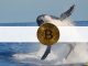 Third-Largest Bitcoin Whale Bought $37 Million in BTC