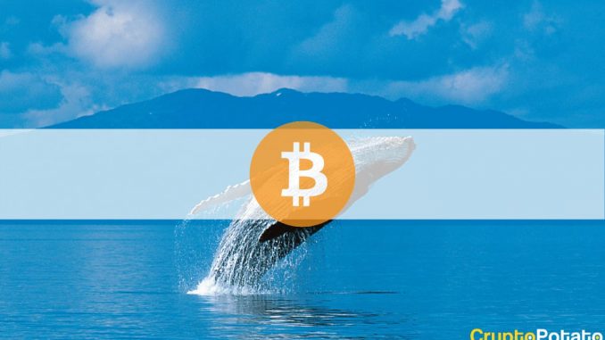 Third-Largest Bitcoin Whale Sold at $56K and Bought Back at $57K a Day Later