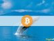 Third-Largest Bitcoin Whale Sold at $56K and Bought Back at $57K a Day Later