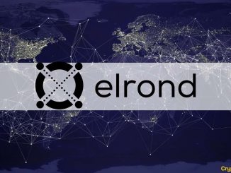 Elrond Launches $1.29 Billion Liquidity Incentive Program as Maiar DEX Goes Live