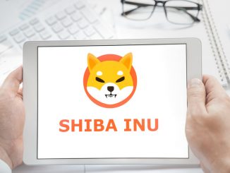 Is Shiba Inu (SHIB) about to experience another Bull Run?