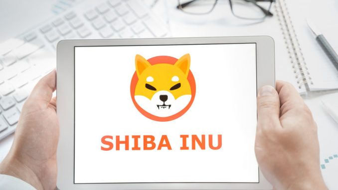 Is Shiba Inu (SHIB) about to experience another Bull Run?