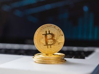 Ammous Bitcoin price prediction