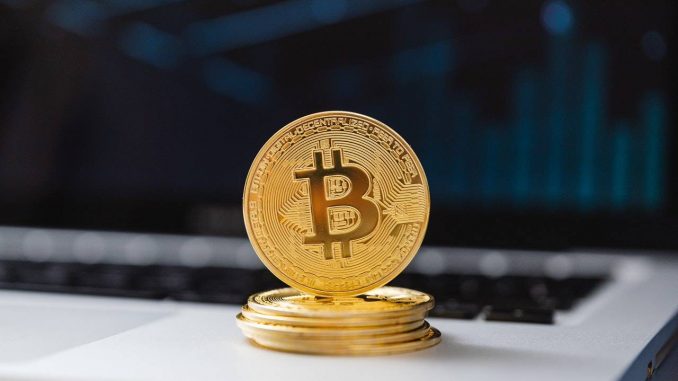 Ammous Bitcoin price prediction