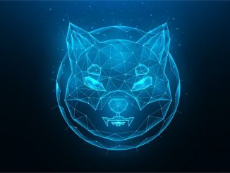 Shiba Inu Project Reveals 'Doggy DAO,' Devs Say Phase 1 to Provide 'Immediate Power to the SHIB Army'