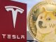 Tesla Begins Accepting Dogecoin Payments — Some Merchandise Can Only Be Purchased With DOGE