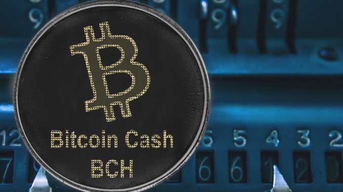 Litecoin v Bitcoin Cash – As bulls return to the market, these two are worthy buys