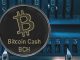 Litecoin v Bitcoin Cash – As bulls return to the market, these two are worthy buys