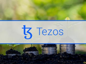 The Tezos Network and its Silent Growth Over the Past Year