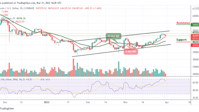 Bitcoin Price Prediction