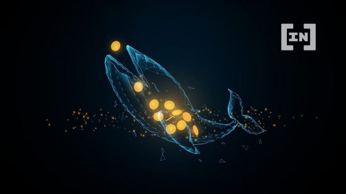 Whale Ahoy! Bitcoin Wallet Activated After 11 Years