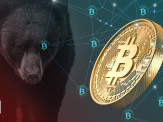 5 Indicators of the Strong Fundamentals of the Bitcoin Network: On-Chain Analysis