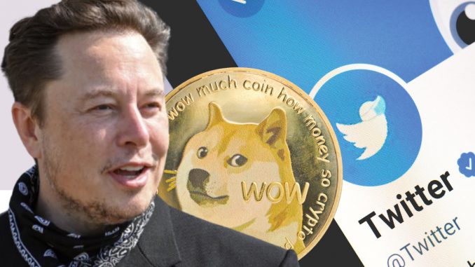 Elon Musk Suggests Making Dogecoin a Payment Option for Twitter Blue Service