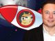 Tesla CEO Elon Musk Shares Dogecoin Video — Says It 'Explains Everything'