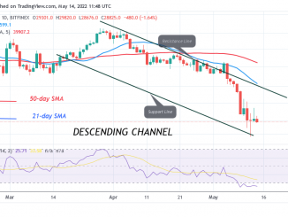 Bitcoin Price Prediction for Today May 14: BTC Price in a Deadlock but Slumps to $28K