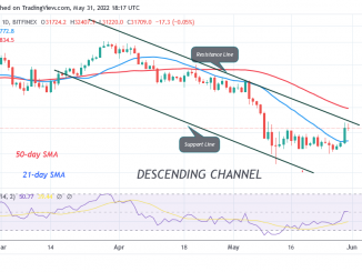 Bitcoin Price Prediction for Today May 31: BTC Holds above $29K, May Resume Sideways Trend