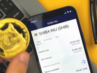 Shiba Inu vs Dogecoin – Which one is a better buy?