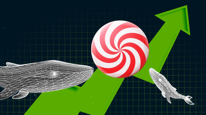 Whales Hold More Than 23% of CandyDEX Tokens