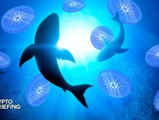 Cardano Sharks Circle Ahead of Potential Bullish Breakout