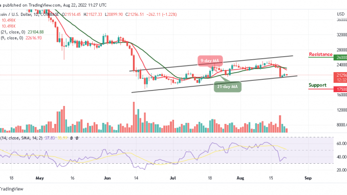 BTC Plummets Under $21,500 as Tamadoge Goes Bullish