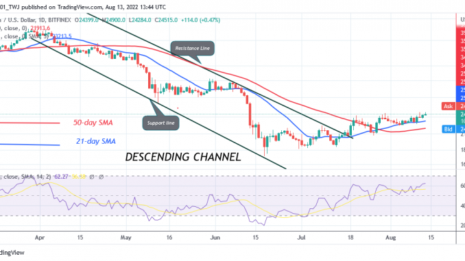 Bitcoin Price Prediction for Today August 13: BTC Price Struggles to Sustain Above $24.9K High