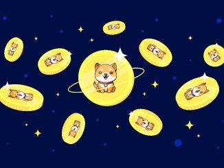 BabyDoge's new swap protocol testnet goes live on BSC