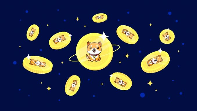 BabyDoge's new swap protocol testnet goes live on BSC