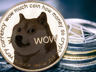 Dogecoin rally comes to a halt as price slides back to below-key support