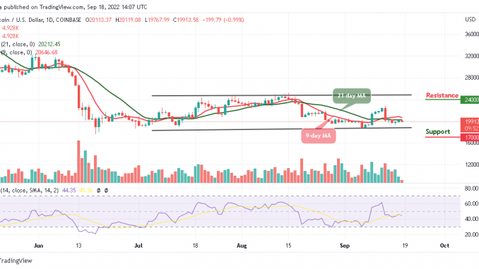 BTC Falls Below $20,000; FOMO on TAMA