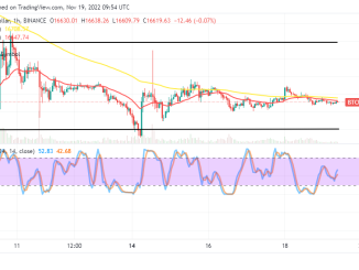 Bitcoin Price Prediction for Today, November 20: BTC Prices Lower