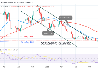 Bitcoin Price Prediction for Today, December 7: BTC Price Turns Down from a Recent High and Holds above $16.7K