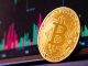 Analyst charts Bitcoin's potential rally to $25K by March