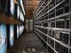 Bitcoin Miners Need Ethereum As Well -- CoinDesk