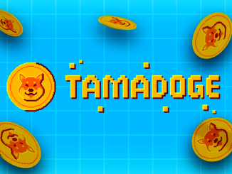 Tamadoge Skyrockets 80% Ahead of Exchanges Listing and App Release