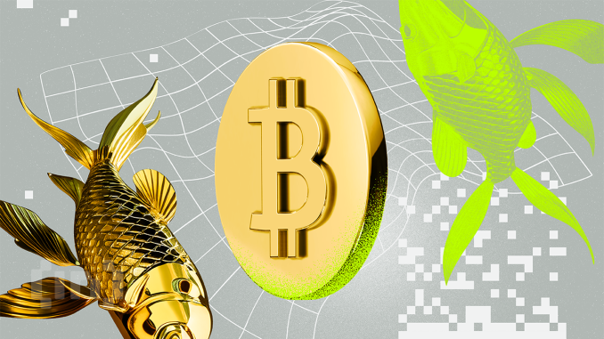 Gold-Backed Digital Currency May Help Zimbabwe Hedge Against Inflation