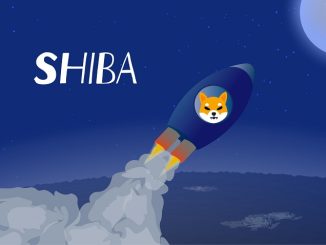 Shiba Inu price prediction as Chancer’s presale approaches $1.3M