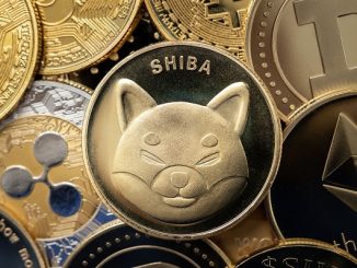 SHIB token burn fails to inspire major price move; is GFOX stealing SHIB's thunder?